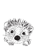 Load image into Gallery viewer, Wall artwork, Pip the Hedgehog
